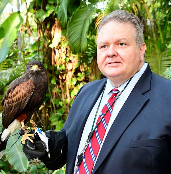 Master Falconer Tim O'Neill